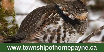 Hornepayne-Ad-Hunting-Photo-3