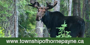 Hornepayne-Ad-Hunting-Photo-4