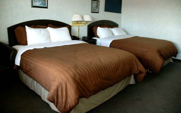 beaver-motel-profile