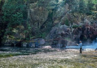 blue-fox-camp-profile-photo-7