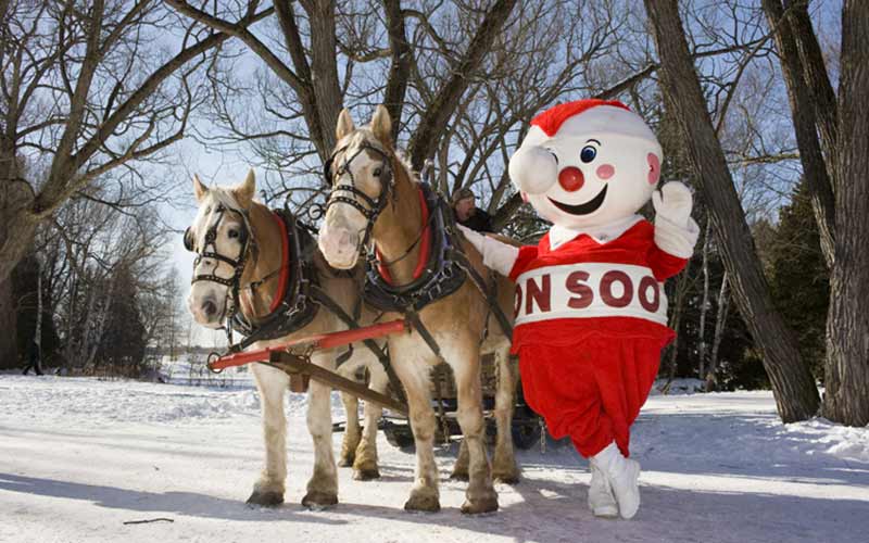 bon-soo-carnival