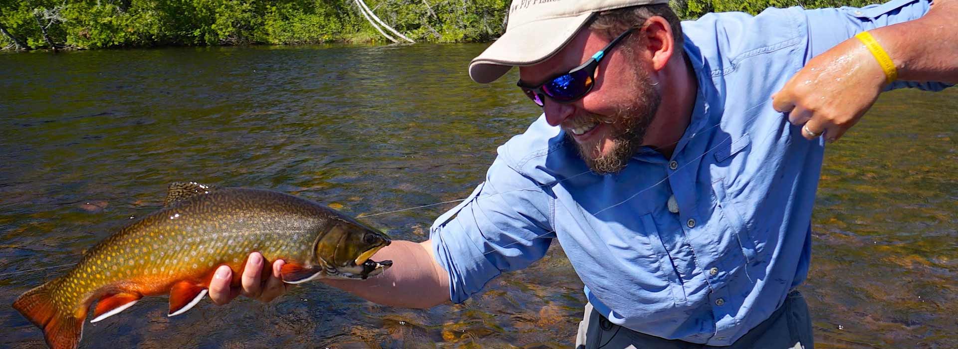 brook-trout-header