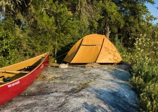 camp-wildlife-photo4