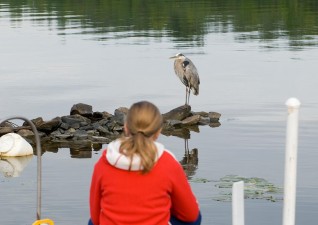 camp-wildlife-photo5