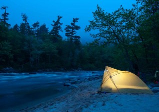 camp-wildlife-photo7