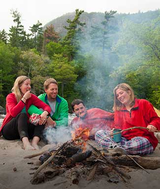 camp-wildlife