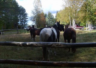 cedar-rail-ranch-photo2