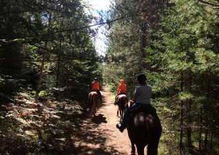 cedar-rail-ranch-photo5