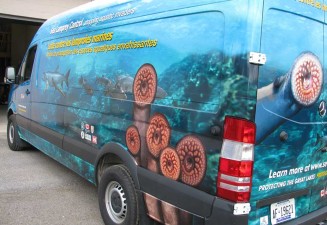 compass-graphics-photo4