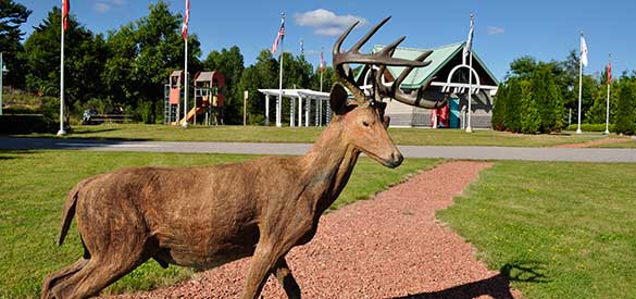 deer-trail-drive