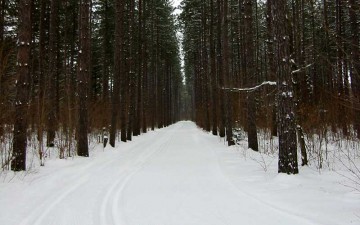 hiawatha-highlands-profile-photo