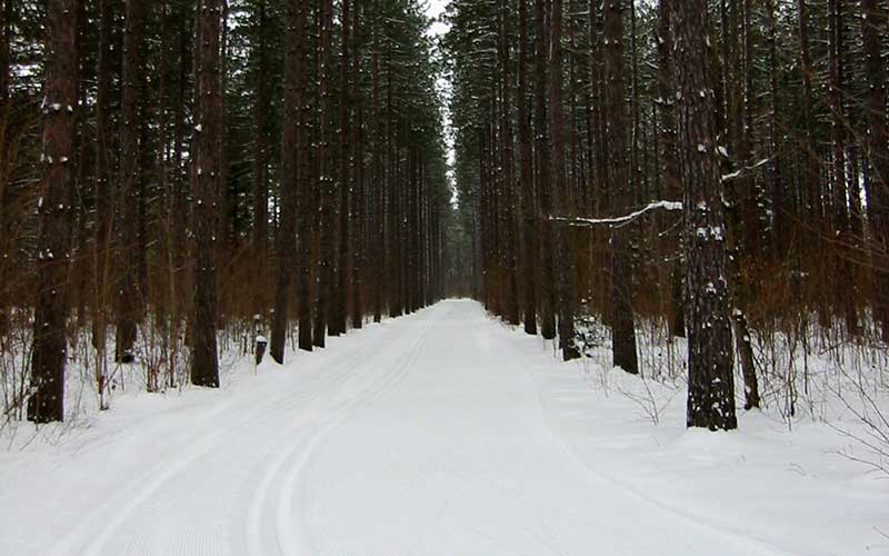 hiawatha-highlands-profile-photo