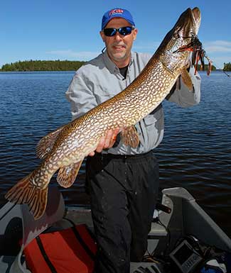 northern-pike-intro1