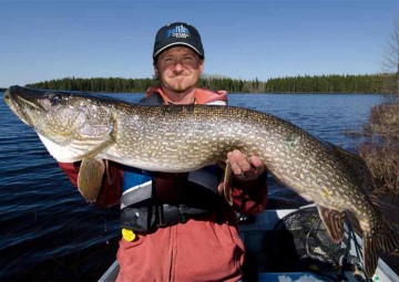 northern-pike-photo2