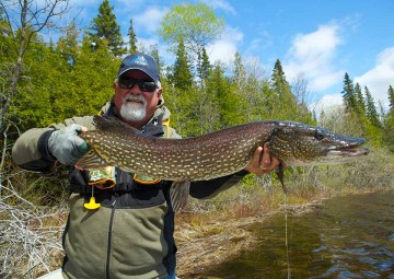 northern-pike-photo3