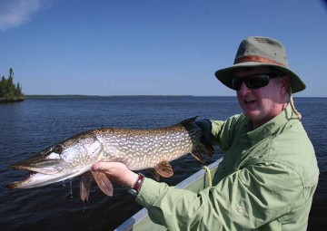 northern-pike-photo4