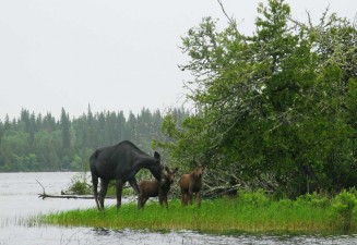 pine-portage-lodge-photo4