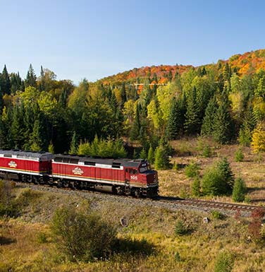 rail-excursions