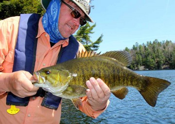 smallmouth-bass-photo5