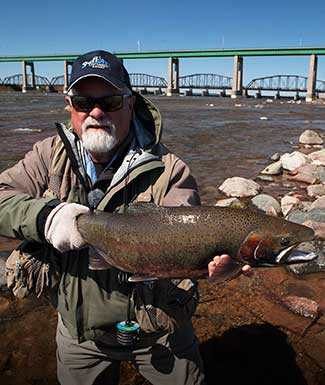 steelhead-intro
