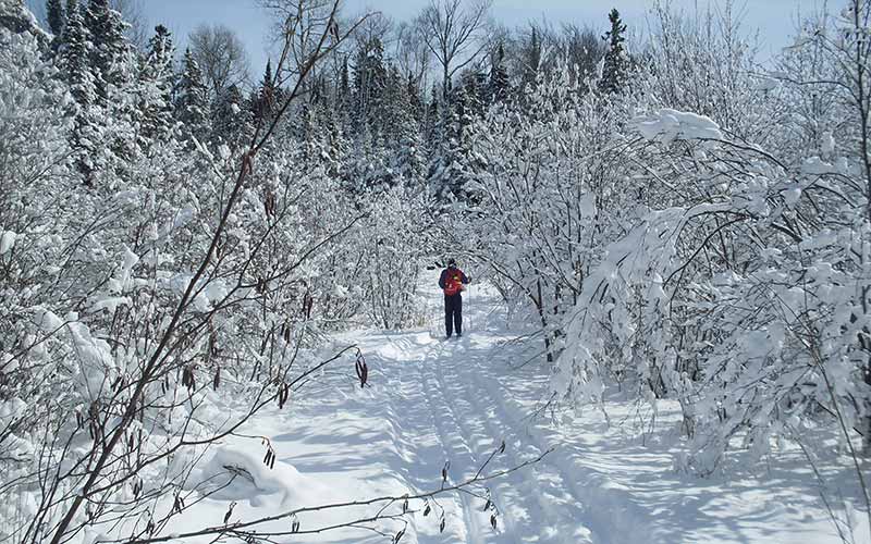 thessalon-ski-trails