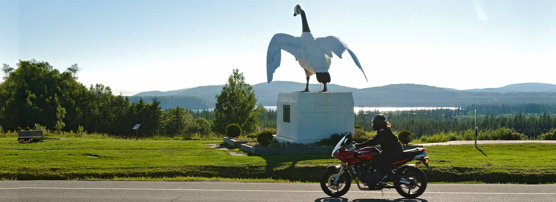 wawa-north-header