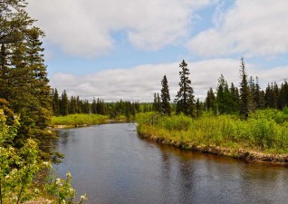 wawa-rv-campground-photo3