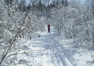 crossski8