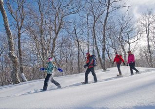 snowshoe3