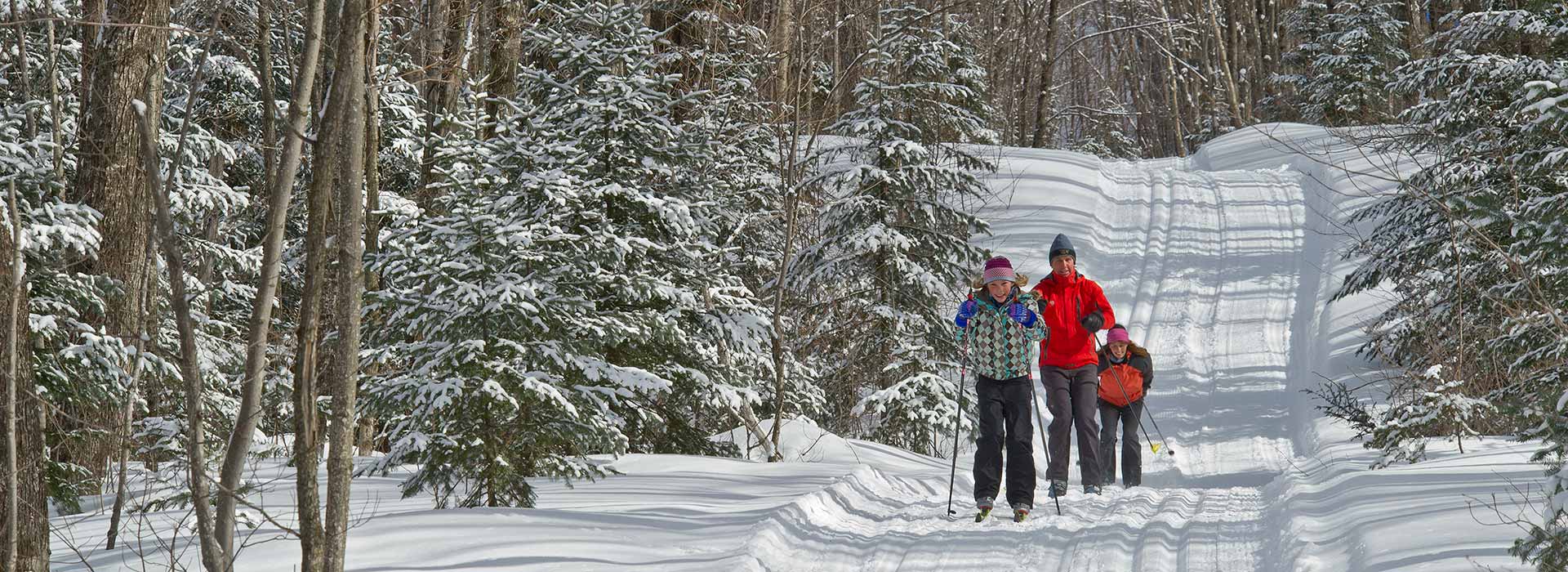 cross-country-skiing-header