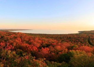 pancake_fallcolours