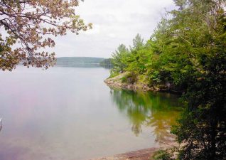cll-bay