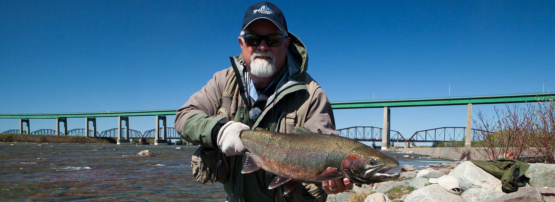 steelhead trout