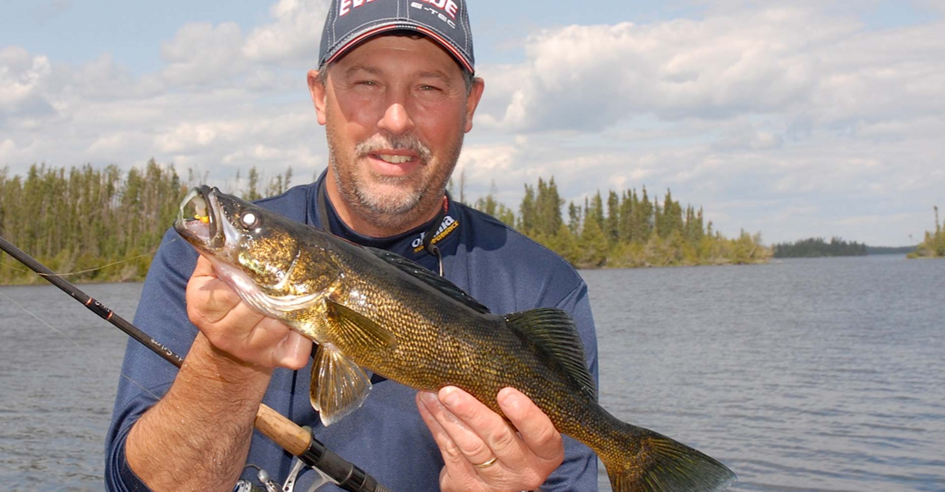 walleye-411