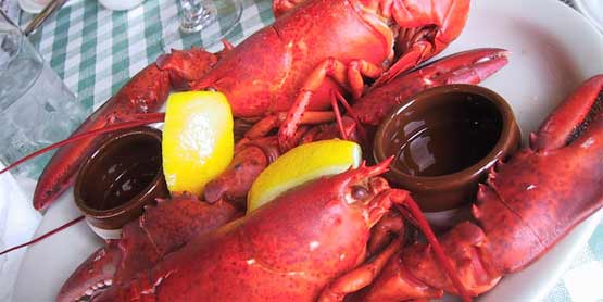 lobsterfest