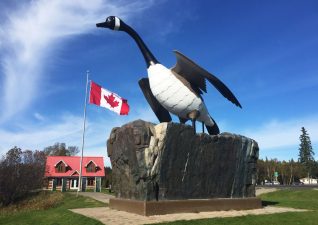 NewWawaGoose-02