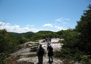blaq-bear-eco-adventures-photo7