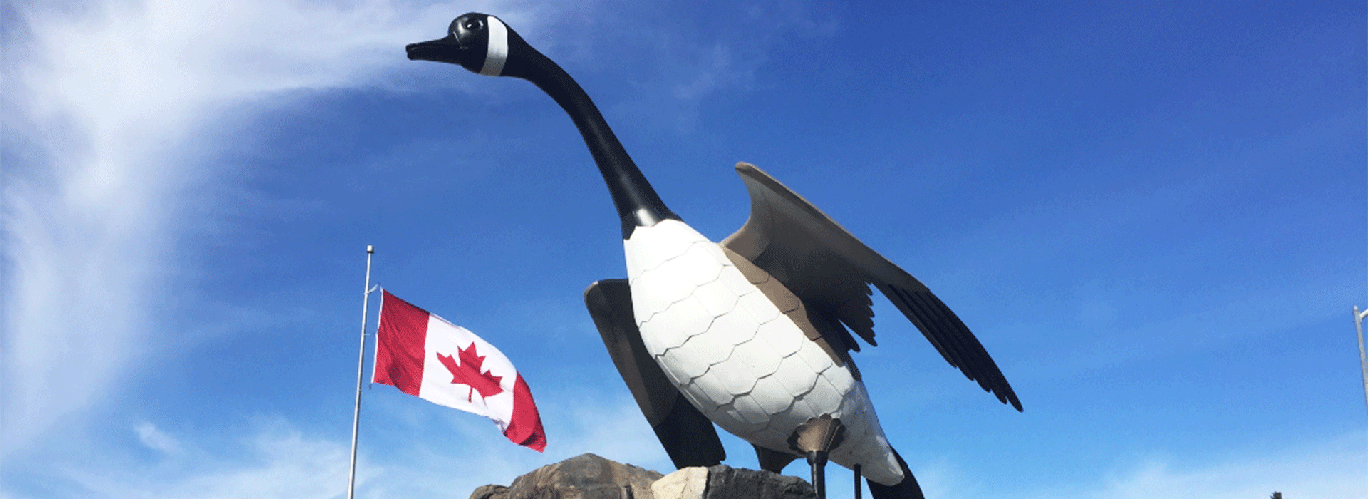 WawaGoose.AlgomaNorth