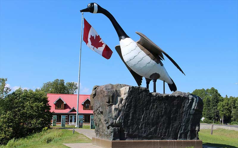 new-wawa-goose