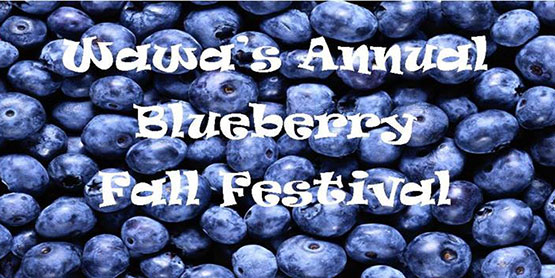 WawaBlueberryFest.Event