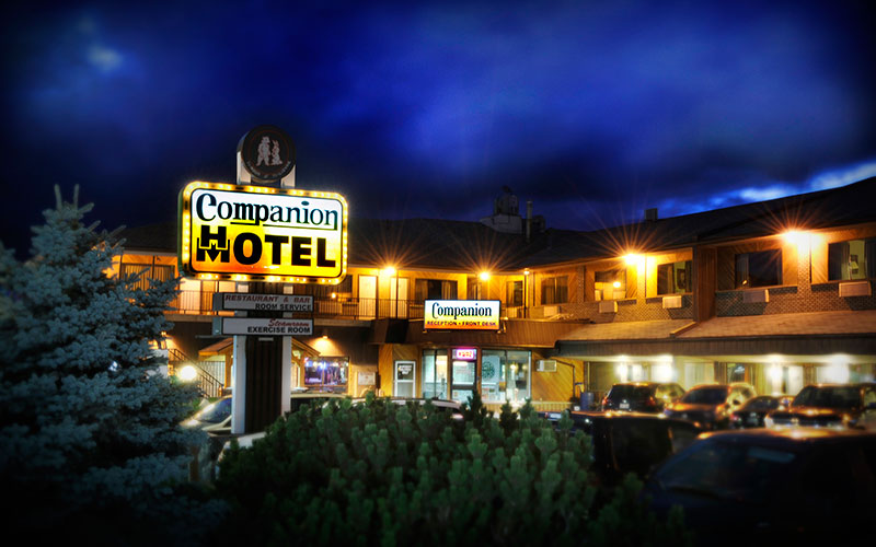 CompanionCover001