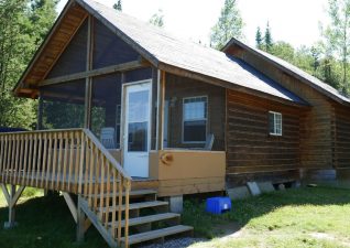 BearPaw006