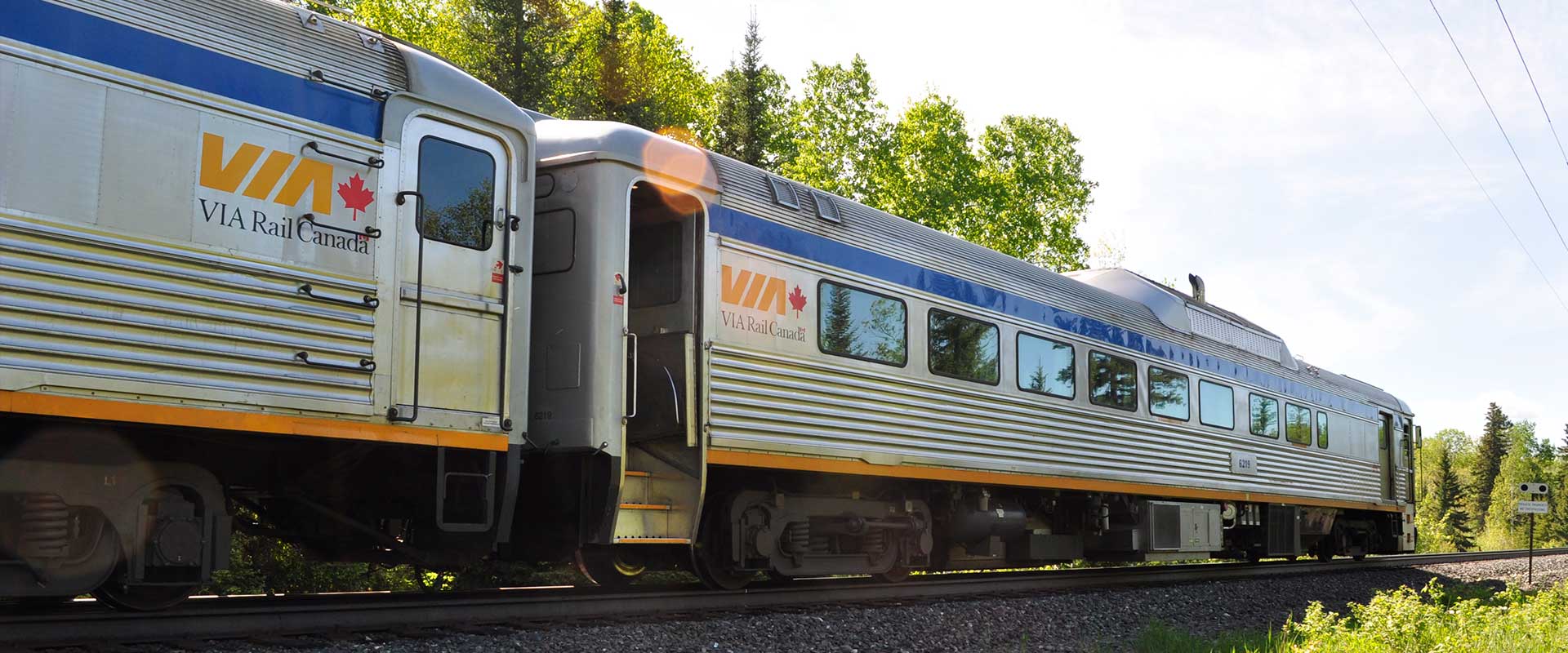 train-in-fishing-header1