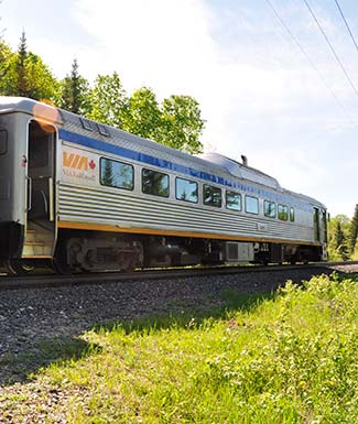 train-in-fishing-via