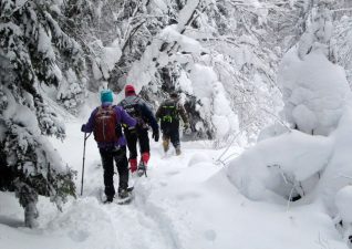 StokelyCreekLodge02