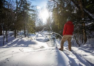 StokelyCreekLodge04