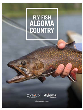 Fly-Fish-Algoma-Country