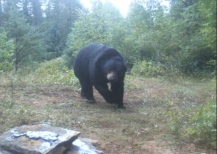 northern-portage-lodge-photo7