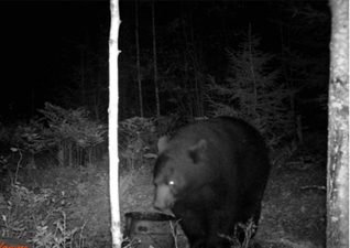 northern-portage-lodge-photo8