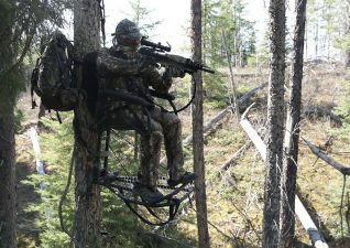 bear-hunting-photo-8